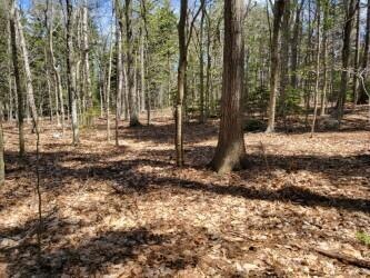 0 Quail Run Lot 1