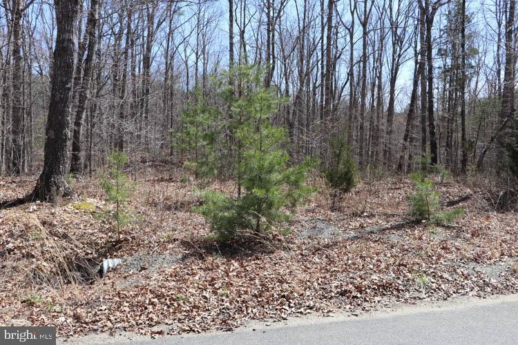 Lot 10 Hope Ln, Orange, VA 22960 - photo 1