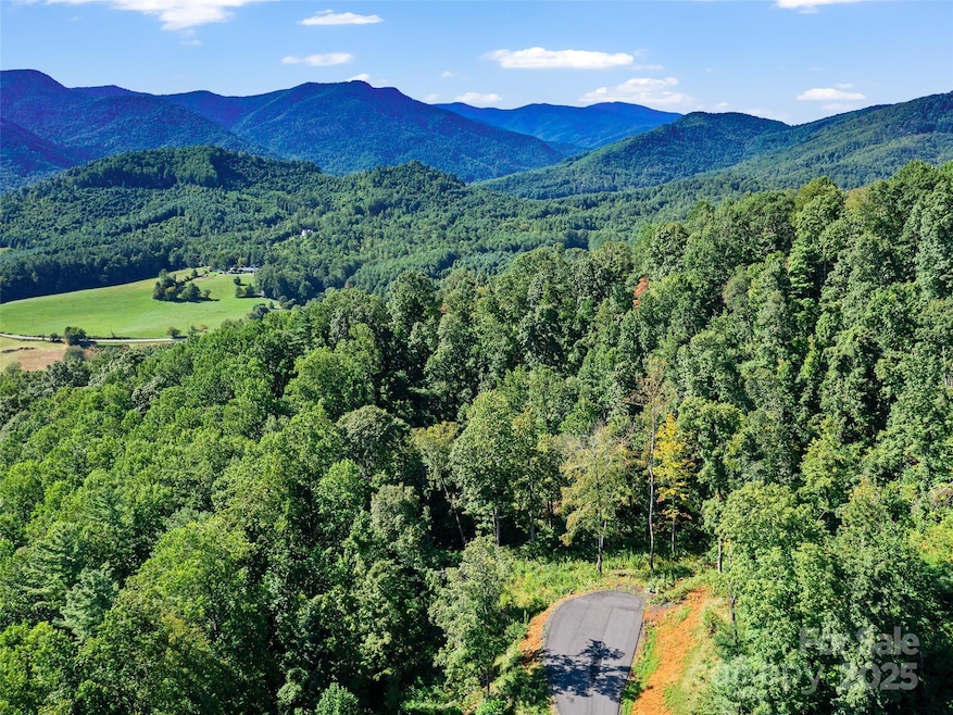 Lot 25 Summit View Pkwy, Spruce Pine, NC 28777 - photo 1