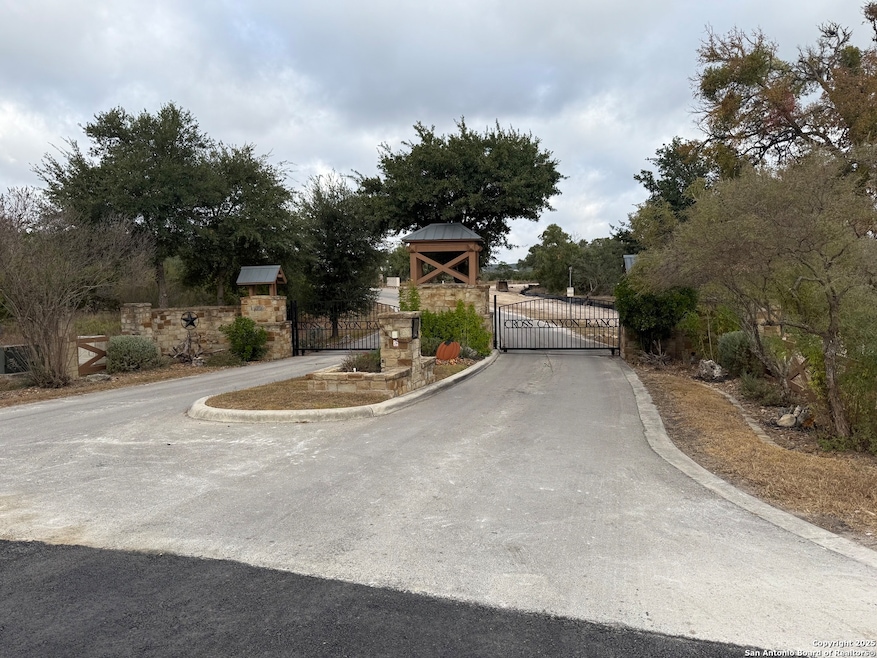 1629 Canyon Curve, Spring Branch, TX 78070 - photo 1