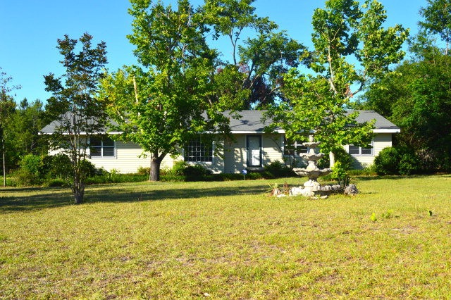 Main View