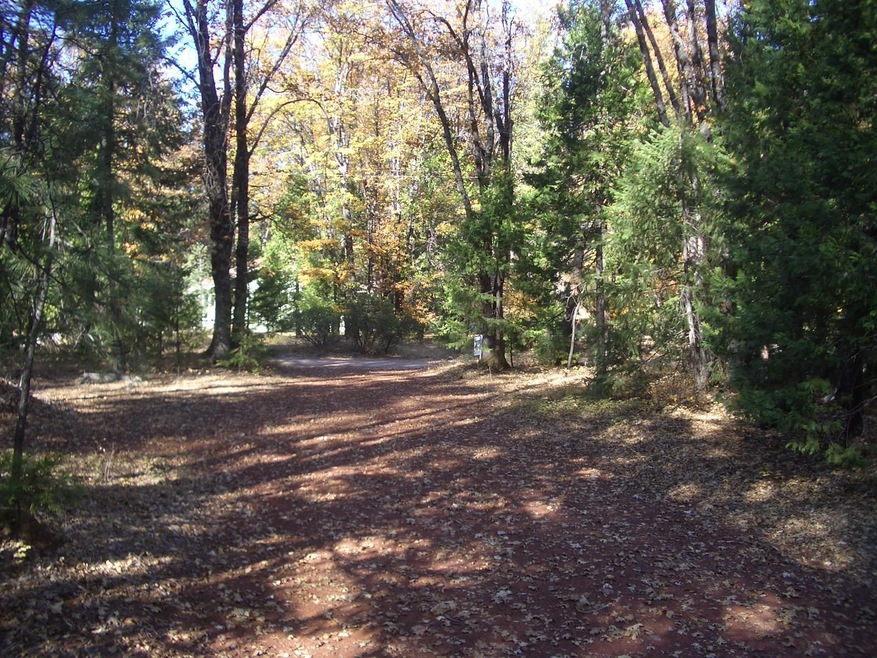 IMGP1022