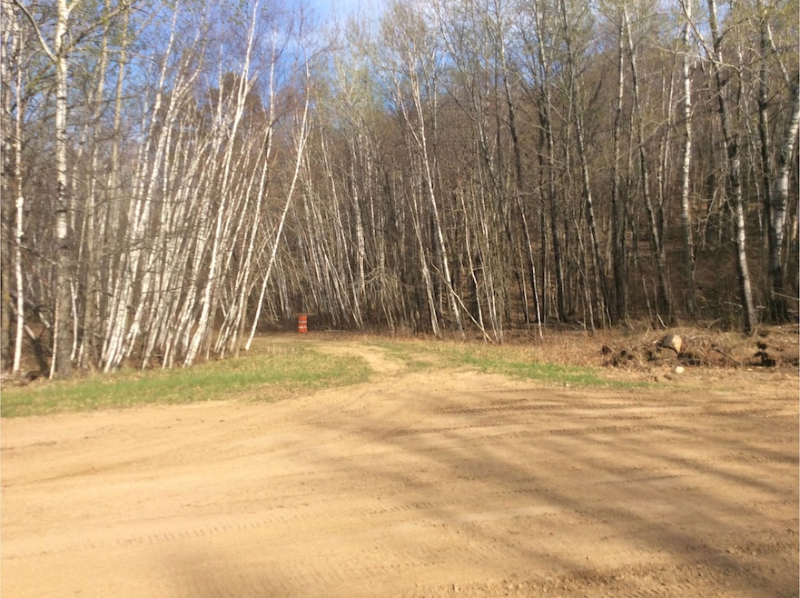 Delaware Trail, Breezy Point, MN 56472 - photo 1