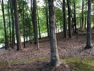 18 Timberlost Trail, Suwanee, GA 30024 - photo 1