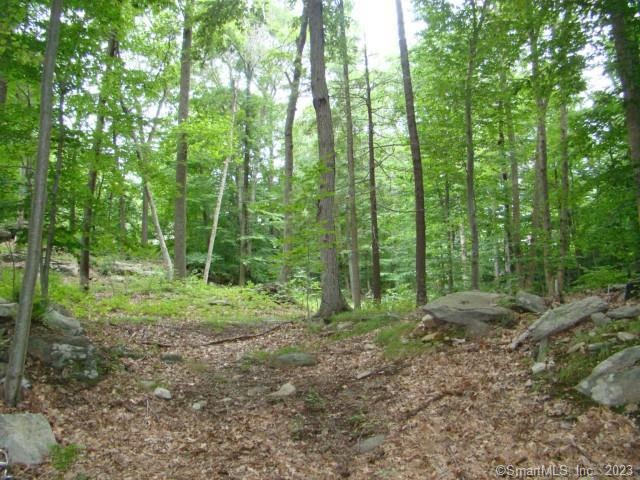 Lot #11 Partridge Road - Butternut Ln, Stamford, CT 06903 - photo 1