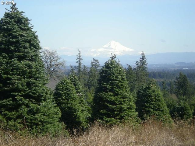 0 SW Petes Mountain Rd, West Linn, OR 97068 - photo 1