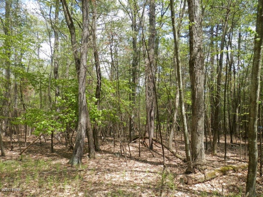 Lot 882 Mulberry Dr, Milford, PA 18337 - photo 1