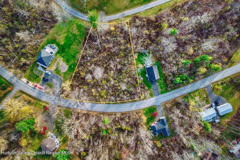 293 tommy trail aerial 2