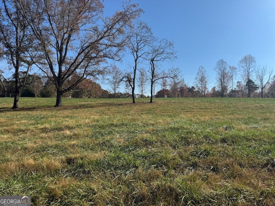 LOT 5,6 Happy Hollow Rd, Roopville, GA 30170 - photo 1