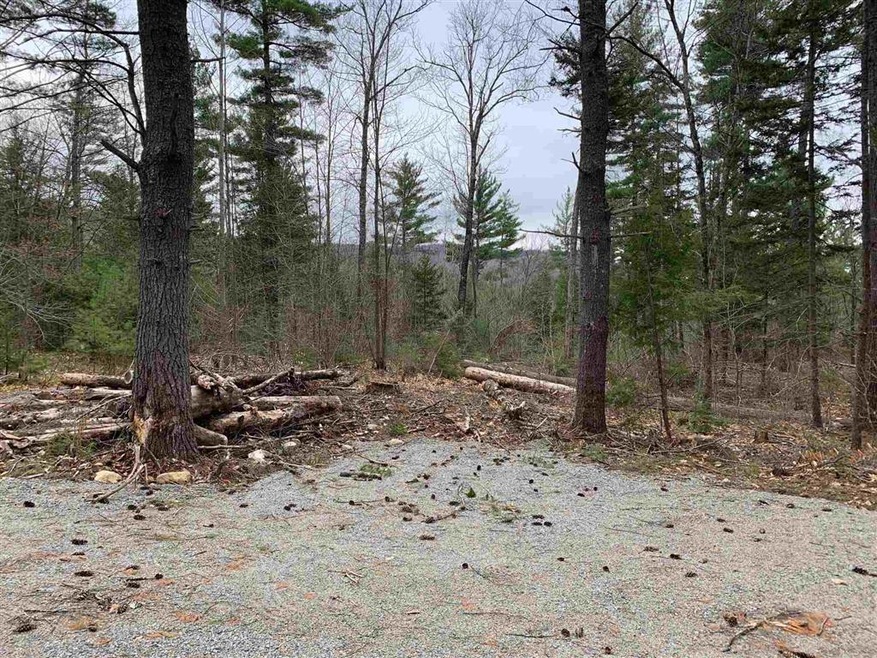 00 Timberline Dirve Dr, Bartlett, NH 03812 - photo 1