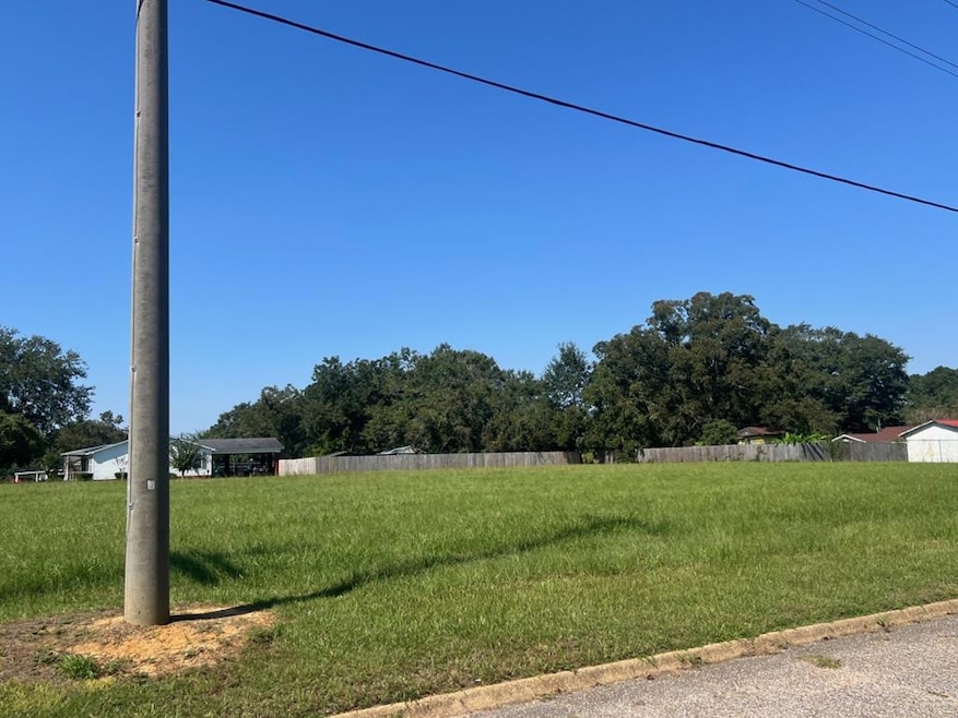 0 Bowden St, Brundidge, AL 36010 - photo 1