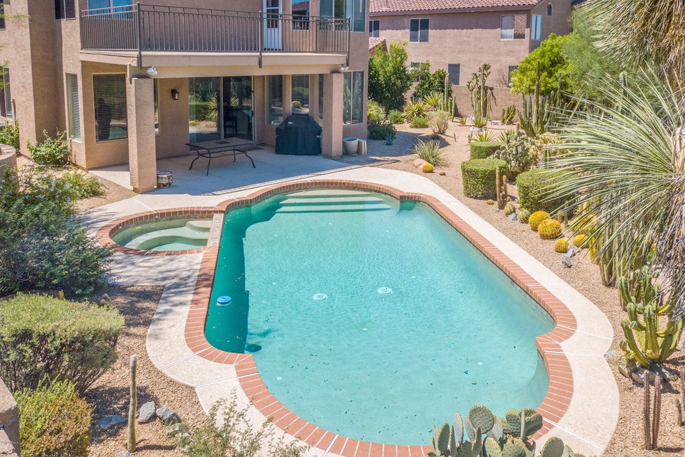 01 Back Yard