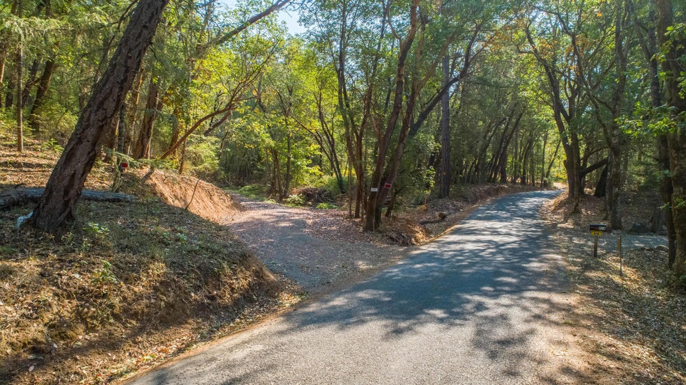 Driveway to the left