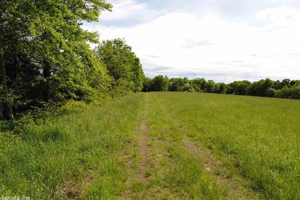 12641 Oak Grove Rd, Winslow, AR 72959 - photo 1