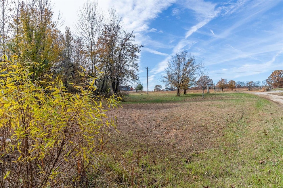 2010 County Road 459, Poplar Bluff, MO 63901 - photo 1