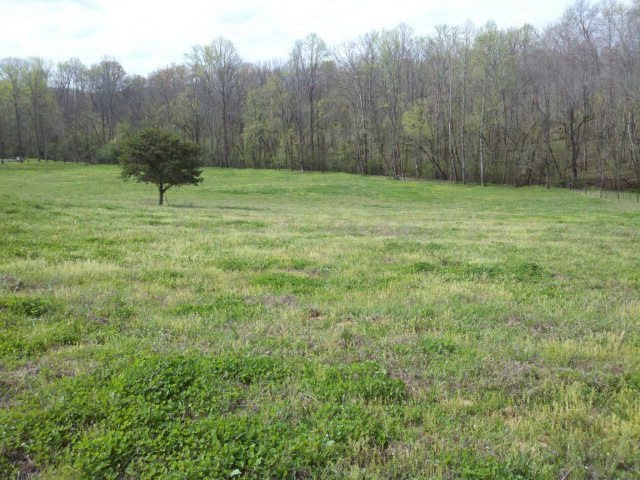 1225 Bob Bullock Rd, Cookeville, TN 38506 - photo 1