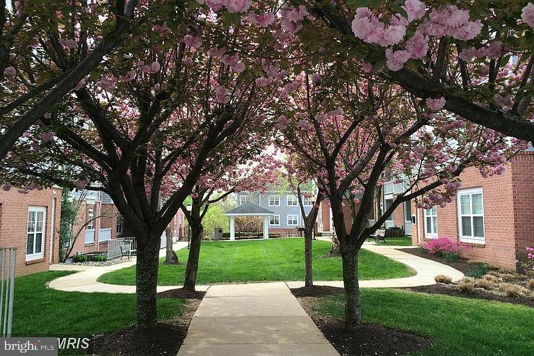 9209 Groffs Mill Dr, Owings Mills, MD 21117 - photo 1