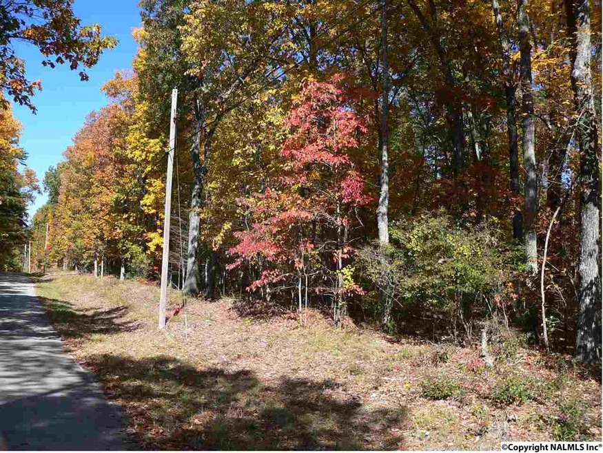 5025 Willow Dr SE, Huntsville, AL 35803 - photo 1