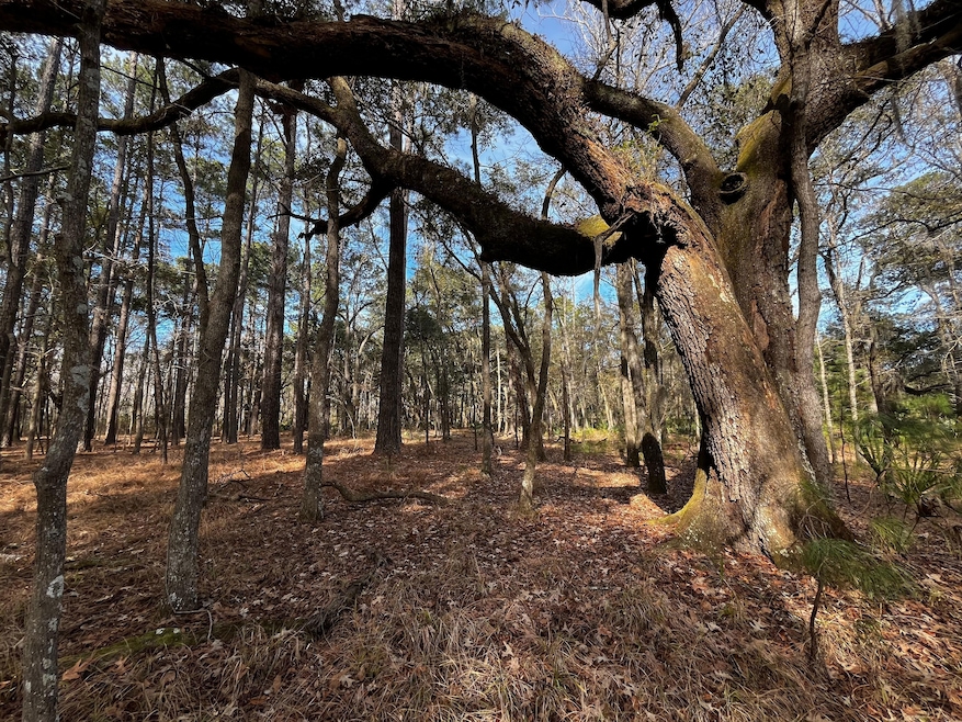 0 Dressen Rd unit 22893184, Hardeeville, SC 29927 - photo 1