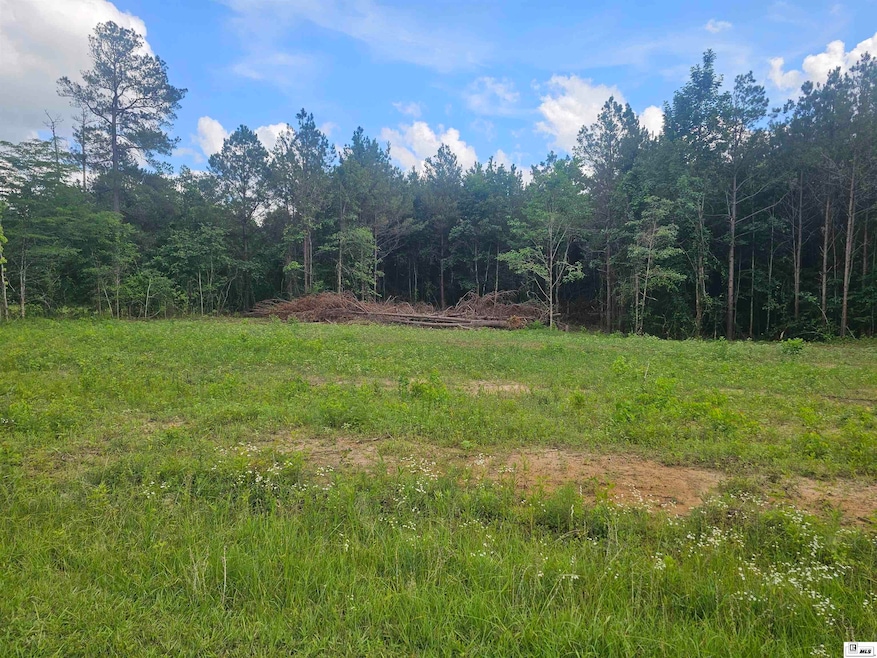 00 Jackson Rd, Collinston, LA 71229 - photo 1