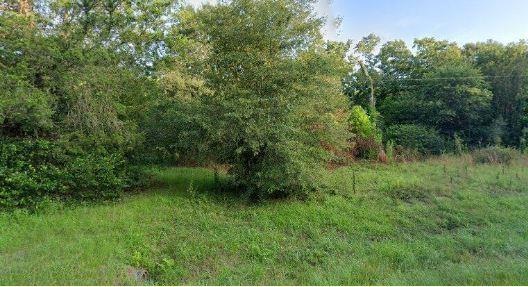 318 Ga Highway 49 S, Americus, GA 31719 - photo 1