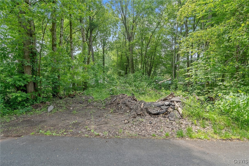 0 21st Ave unit S1613250, Vienna, NY 13157 - photo 1