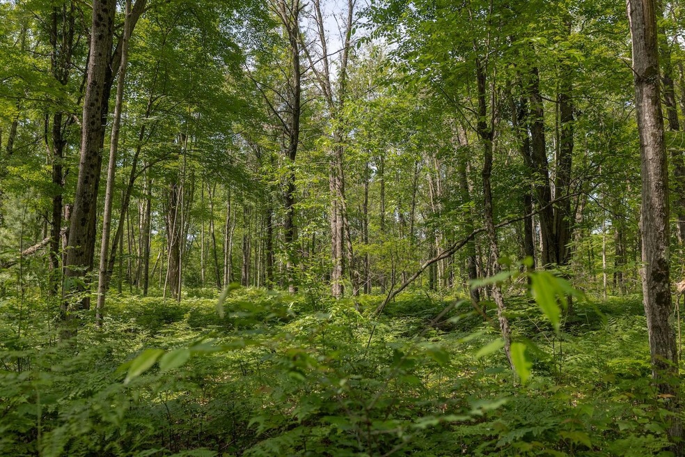 000 V/L 13 Mile Rd unit Par D, Bitely, MI 49309 - photo 1