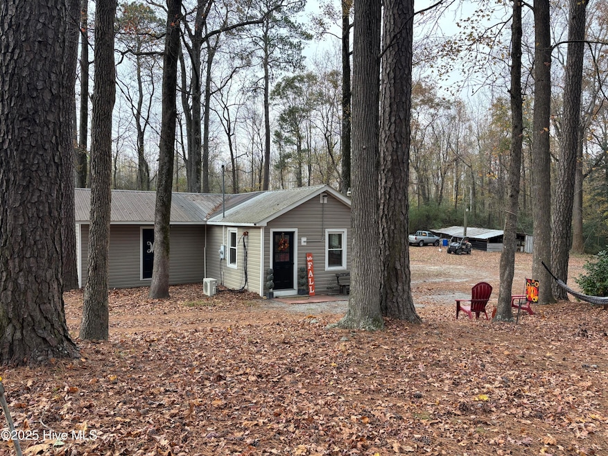 390 Phillips Hill Rd, Conway, NC 27820 - photo 1