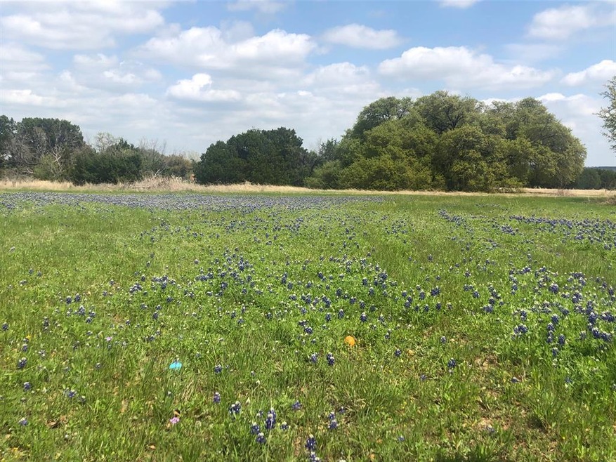 4065 Mesquite Dr, Whitney, TX 76692 - photo 1