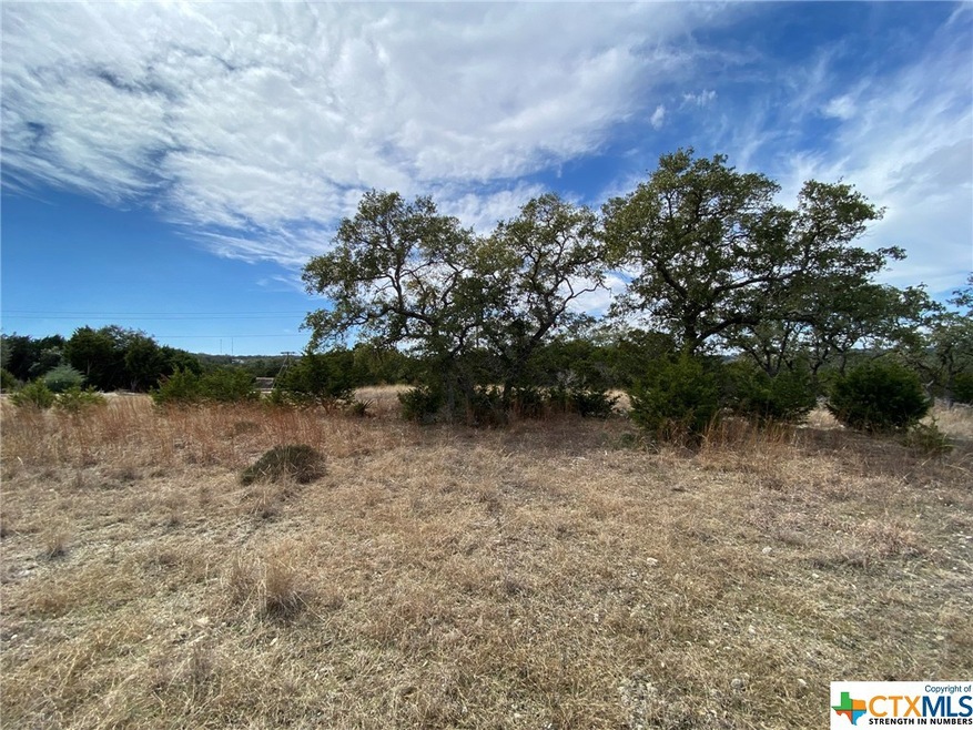 610 Angelica Vista, Canyon Lake, TX 78133 - photo 1