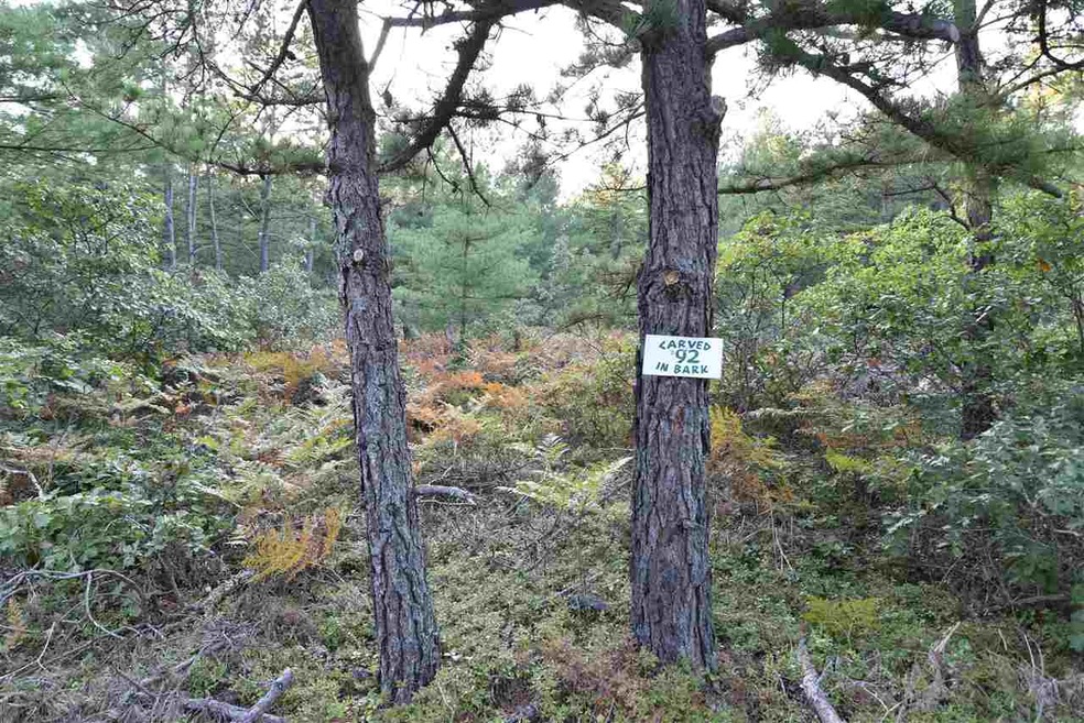 2 Acre level lot with sandy soils and paved town r