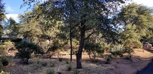 409 E Alpine Dr, Payson, AZ 85541 - photo 1