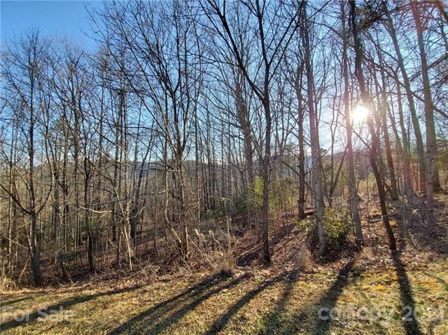 26 Smokey Ridge Trail unit 173, Arden, NC 28704 - photo 1