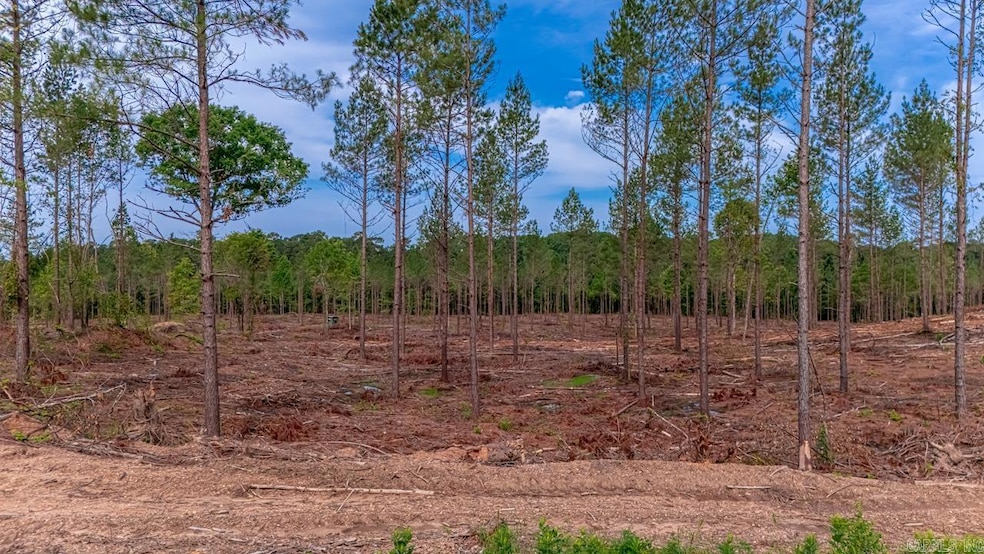 Sold $75,000 • Co-Listing Agent