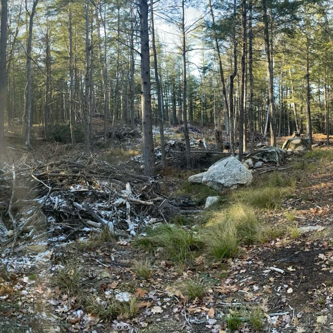 37 Forest Pond Rd, New Hampton, NH 03256 - photo 1