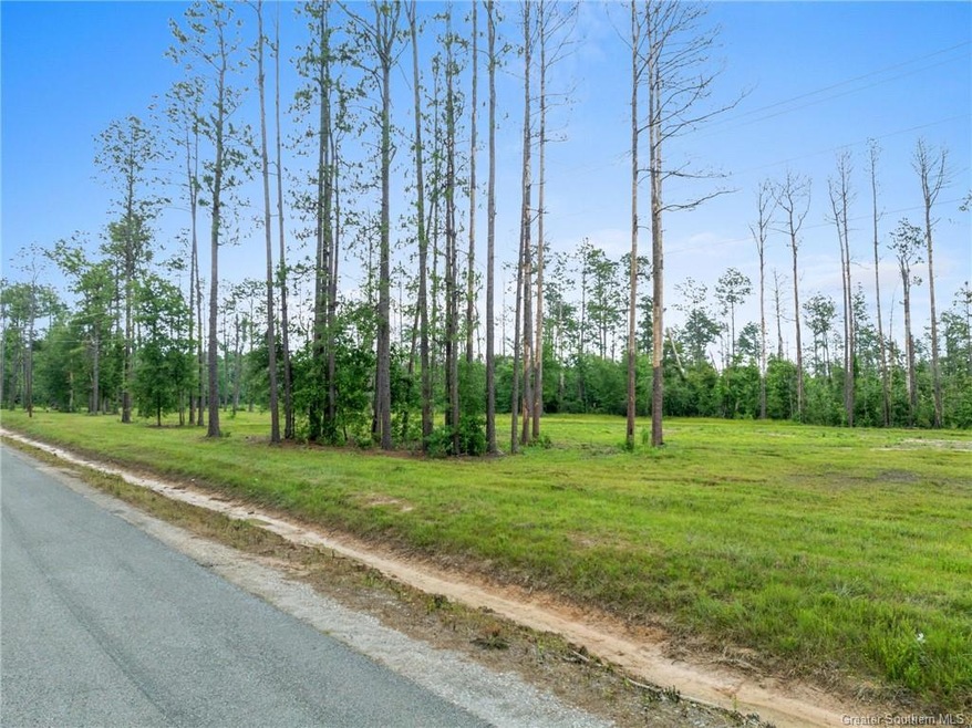 0 Lonnie Cole Rd unit SWL25003408, Ragley, LA 70657 - photo 1