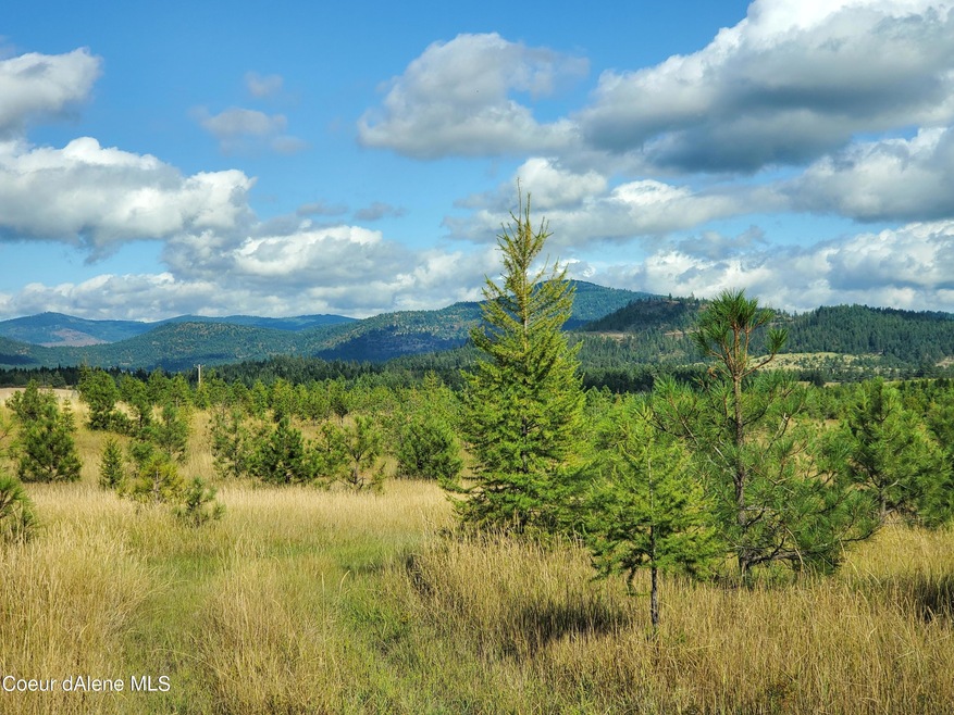 NKA Ogara Rd, Harrison, ID 83833 - photo 1