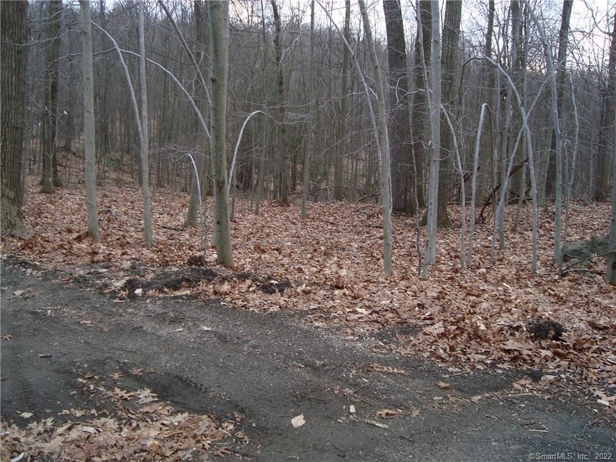 46 Long Meadow Ln, Bethel, CT 06801 - photo 1