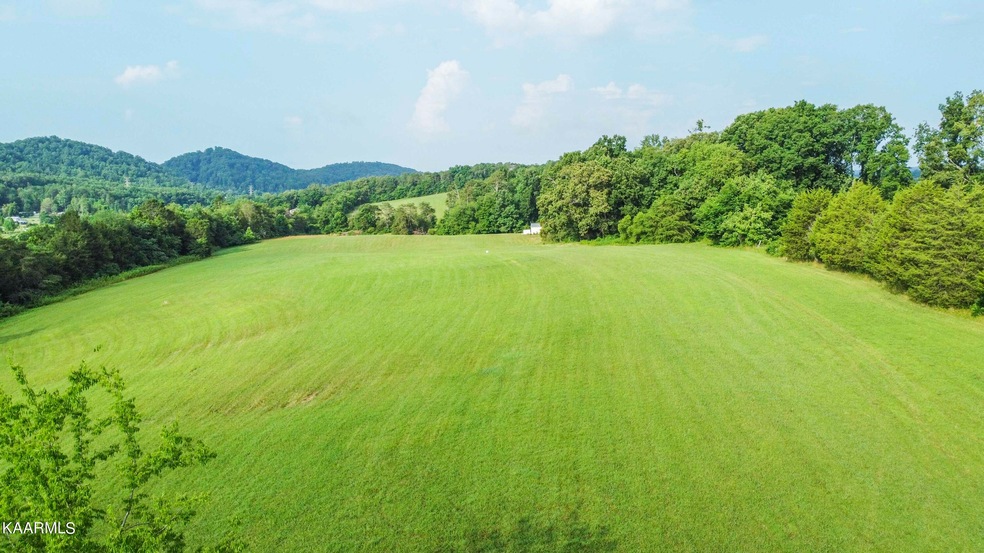 DJI_0343_1