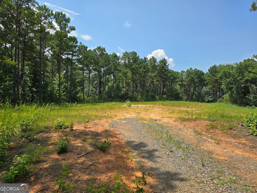 0 Faulkner Rd unit LOT 4 10468618, Monticello, GA 31064 - photo 1