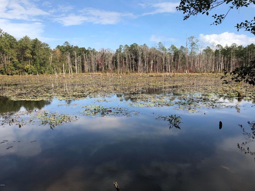 0 Backlin Rd, Lucedale, MS 39452 - photo 1