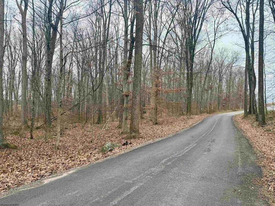 Lot 1 Ludwig Rd, Grafton, WV 26534 - photo 1