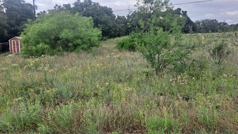 6958 Lovers Ln, Lake Brownwood, TX 76801 - photo 1