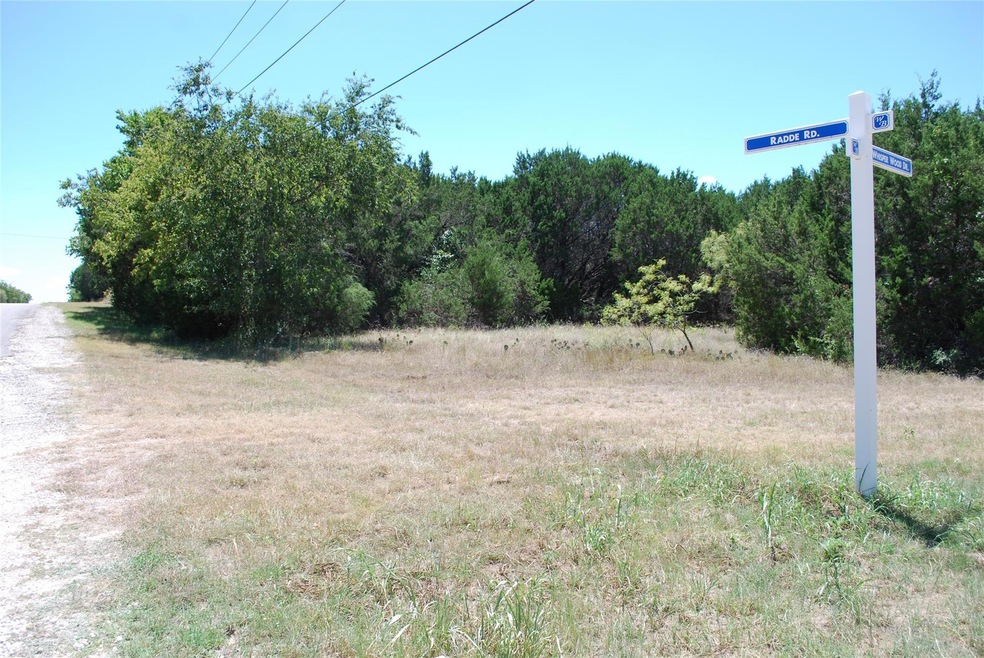 29021 Whisperwood Dr & Radde Rd, Whitney, TX 76692 - photo 1