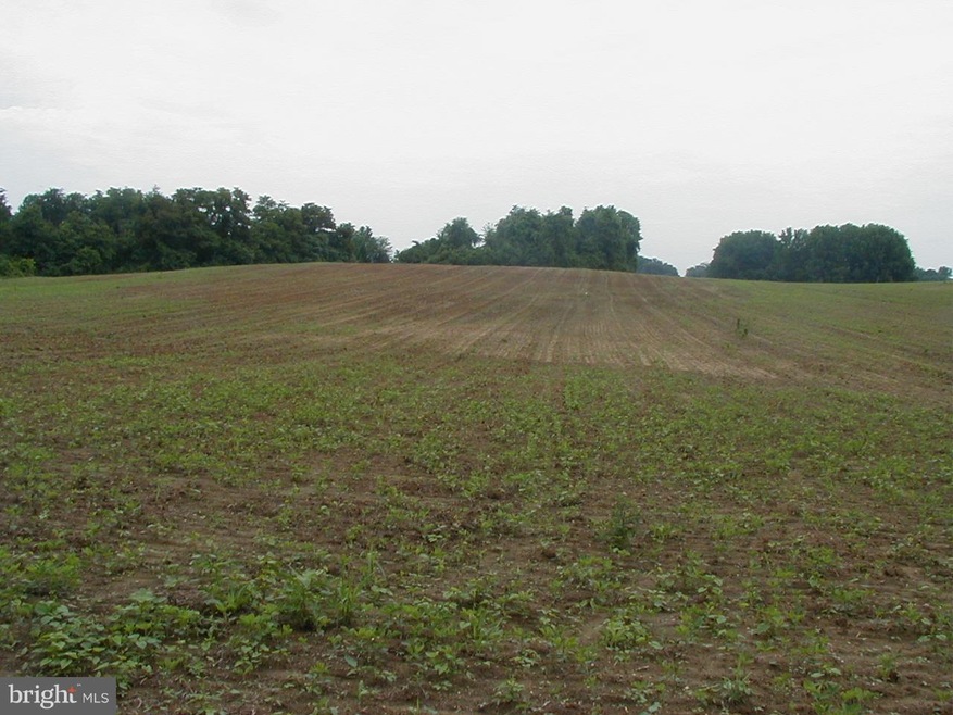 0 Candy Hill Rd unit 1000033733, Upper Marlboro, MD 20772 - photo 1