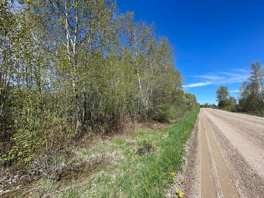 Looking North