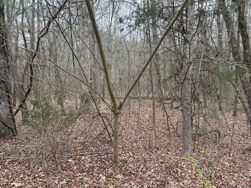 Hidden Ridge #6