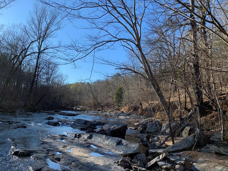 63 ac Lee Road 333, Salem, AL 36874 - photo 1