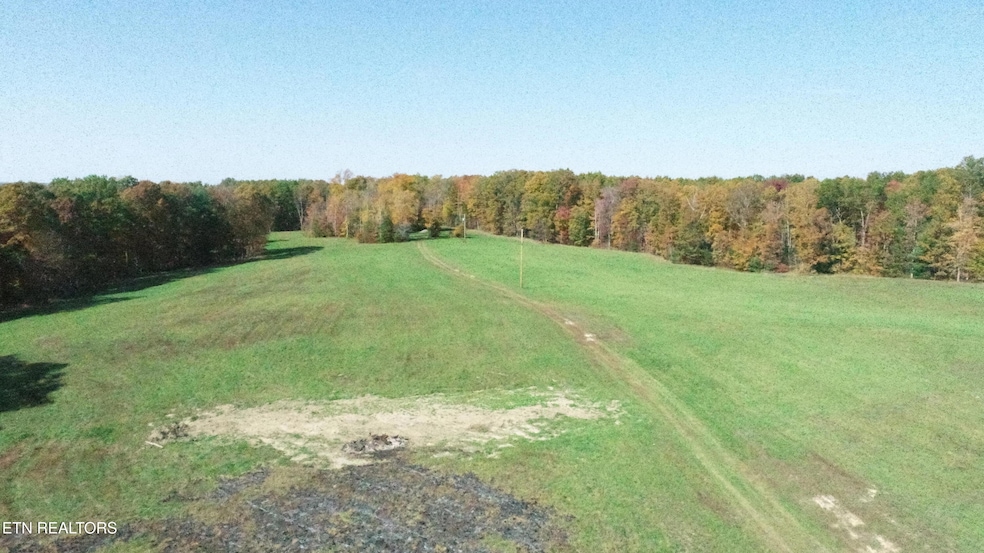 DJI_0217