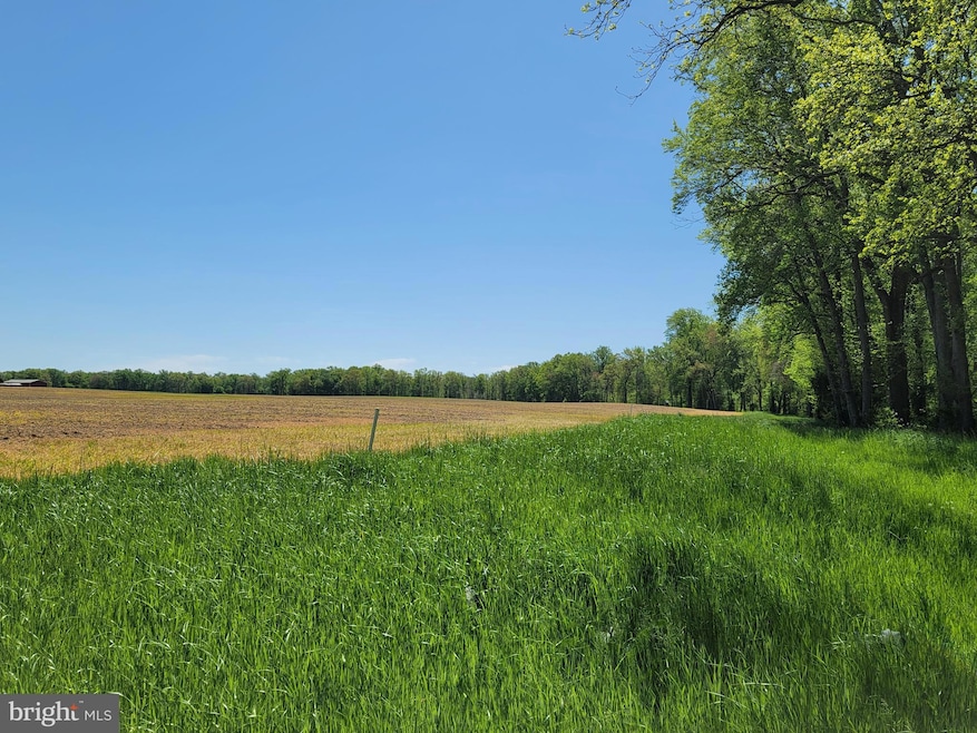 732 Clannihan Shop Rd, Church Hill, MD 21623 - photo 1